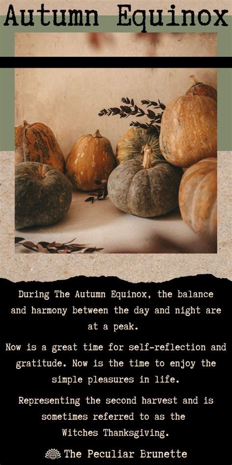 Pagan Perspectives on Balance: The Autumn Equinox as a Time for Inner Harmony